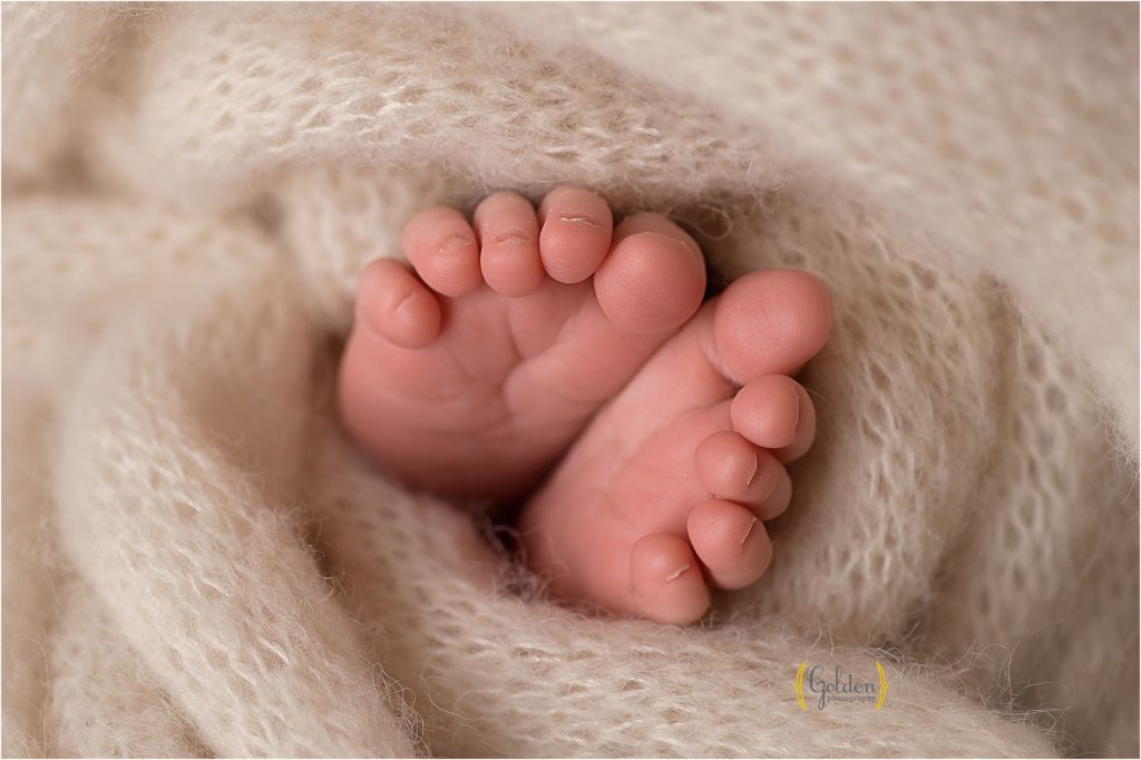 macro of baby toes wrapped in white during newborn photography Palatine IL