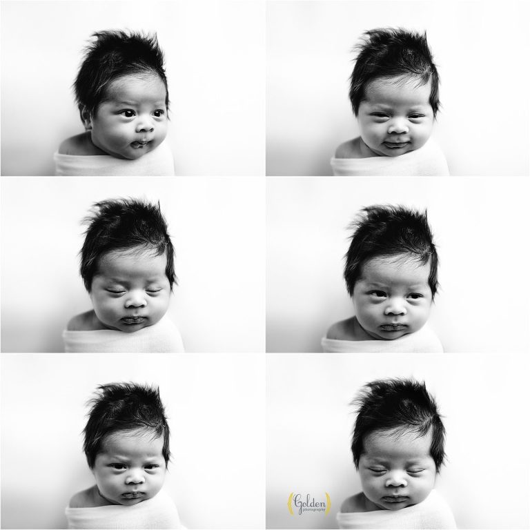 black and white collage of awake baby boy from newborn photographer near Mt Prospect IL