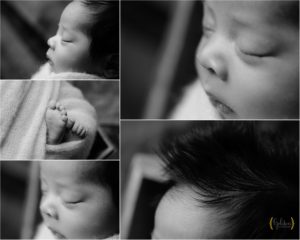 black and white detail macro photos of newborn